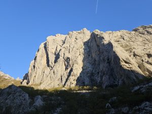 f8370b28-0751-43d6-9aa8-41c713e0839d