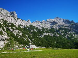 IMG_20260626_095432